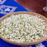 廣西南寧：中華茉莉園