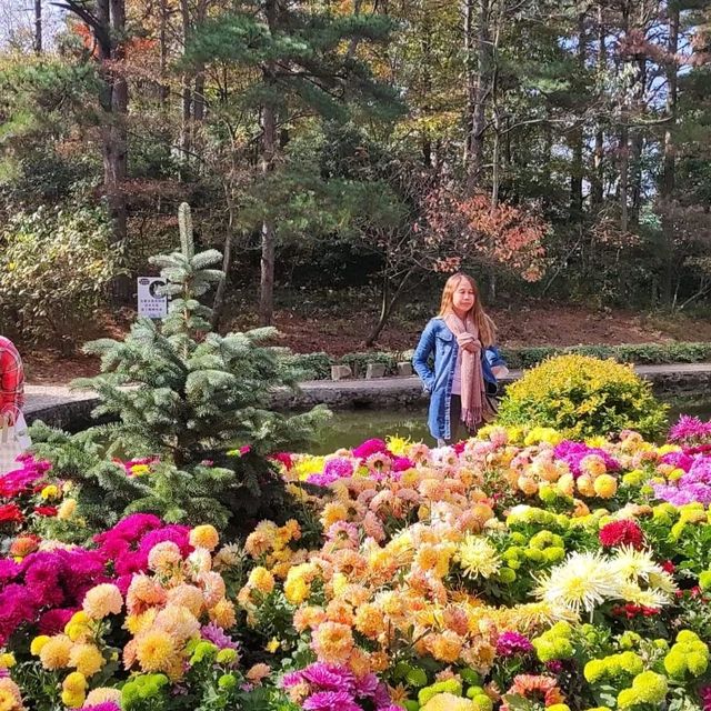 The Flower Path Garden Ruqin Lake Jiangxi