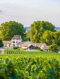 Global Homestay #221: Bordeaux Homestay, a century-old winery estate in France.