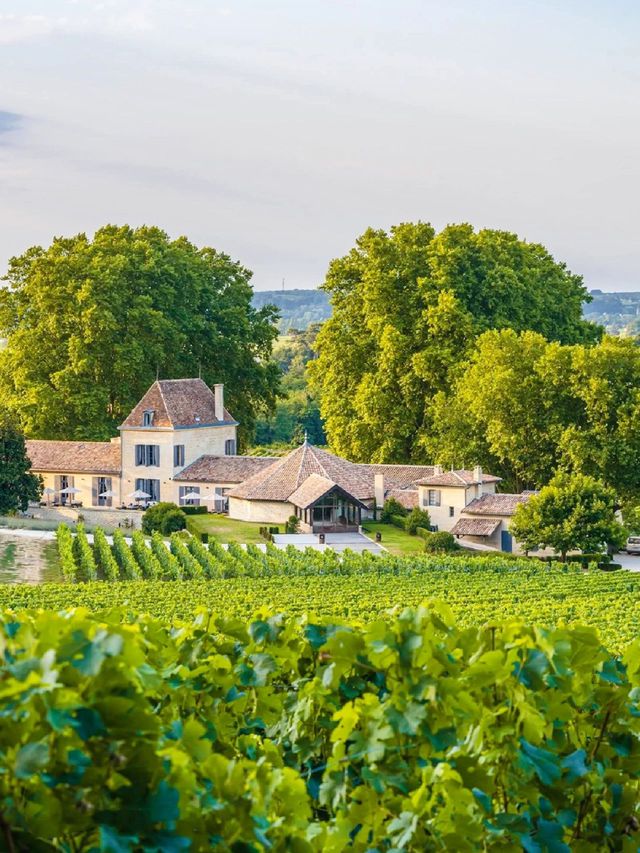 Global Homestay #221: Bordeaux Homestay, a century-old winery estate in France.