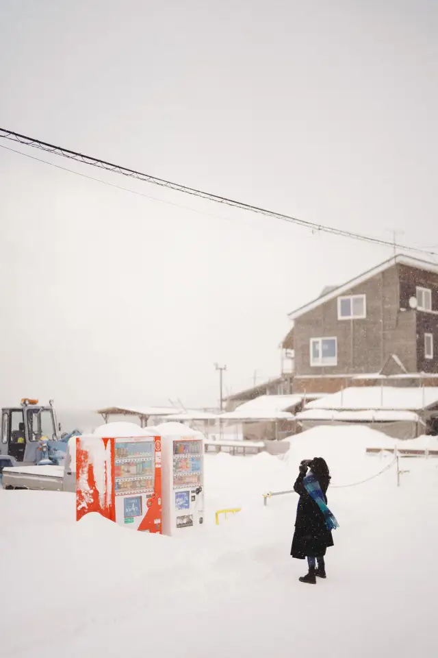 Hokkaido 🇯🇵 Asari, let's take a look at the snow and sea here ❄️