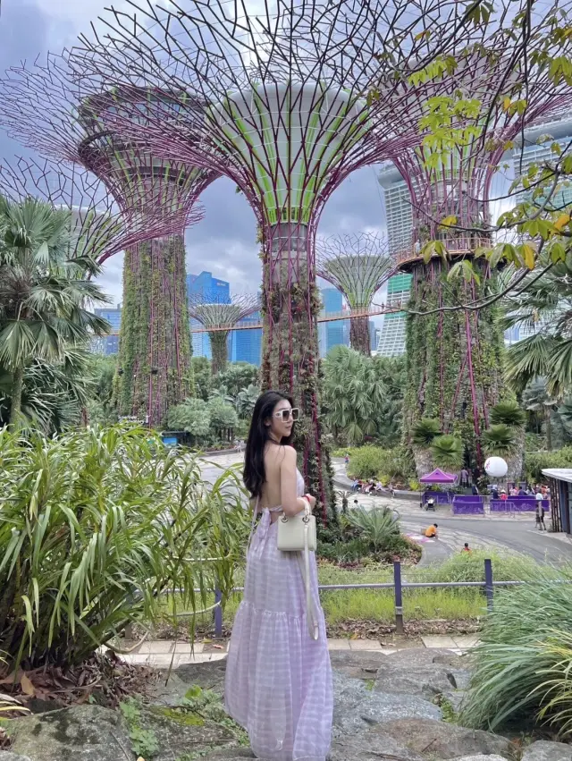 Singapore's 💕Marina Bay Gardens are so beautiful!