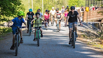 Trek Bicycle O'Fallon Social Roll | Woodlands Sport Park
