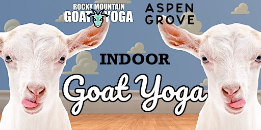 Indoor Goat Yoga - January 6th (ASPEN GROVE) | Aspen Grove