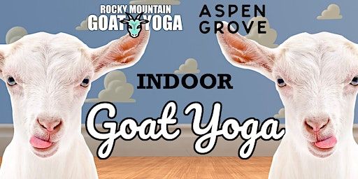 Indoor Goat Yoga - January 6th (ASPEN GROVE) | Aspen Grove