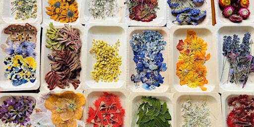 Gin Flight & Botanical Art Workshop | Prohibition Liquor Co