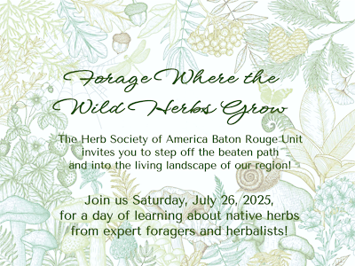 Forage Where the Wild Herbs Grow | LSU AgCenter Botanic Gardens