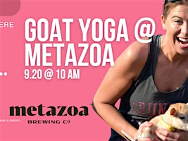 Goat Yoga at Metazoa | Metazoa Brewing Company