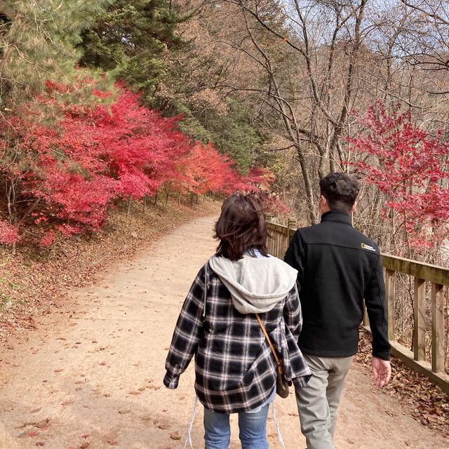 할로윈 데이에는 평창으로!