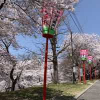 日本 天童公園舞鶴山