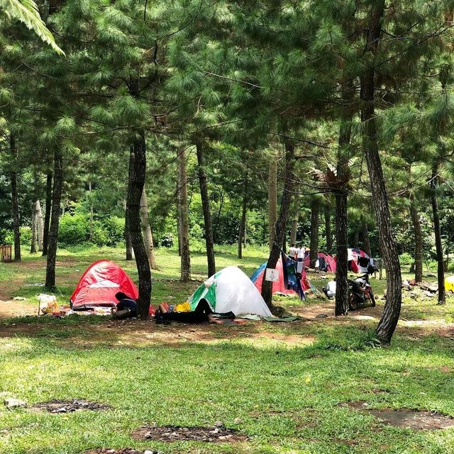 CIPAMINGKIS WATERFALL : BOGOR