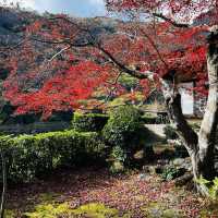 嵐山の紅葉を存分に楽しめた！