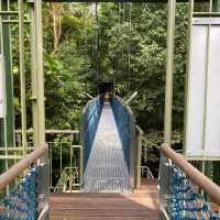 Macritchie Treetop Walk