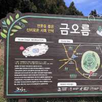 제주ㅣ반려동반 가능한 제주도 오름 추천, 금오름🏔