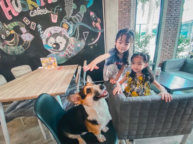 ขอนแก่น ทาสน้องหมาต้องมาคาเฟ่นี้ 🐶