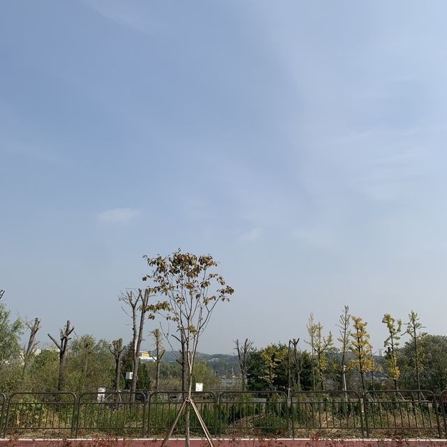 수원에서 레일바이크와 핑크뮬리를💕
