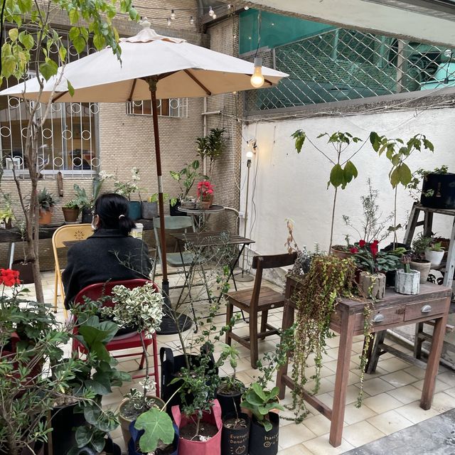 在台北街頭吃著日本甜甜圈～haritts