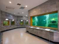 สถานแสดงพันธุ์สัตว์น้ำเทศบาลเมืองร้อยเอ็ด