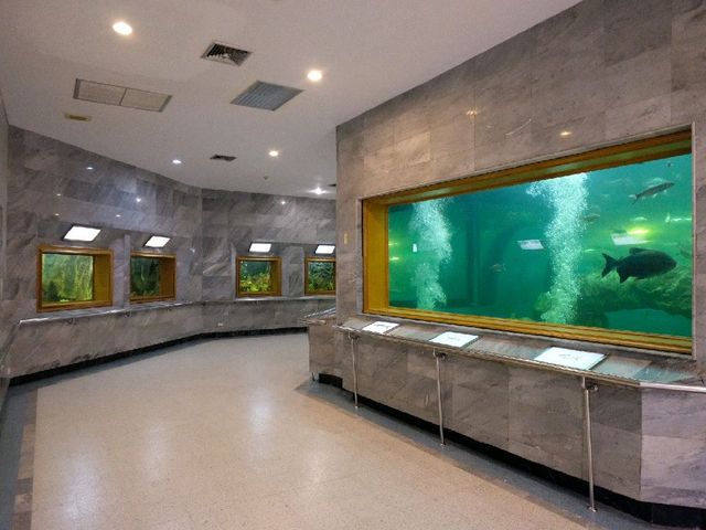 สถานแสดงพันธุ์สัตว์น้ำเทศบาลเมืองร้อยเอ็ด