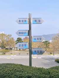 능소화가 만개한 부산 충렬사의 봄,여름