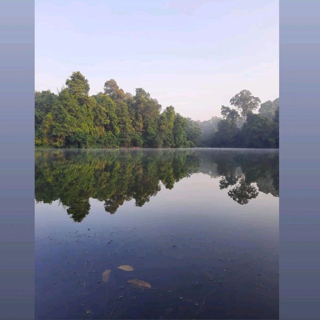 Discover Nature @ Macritchie