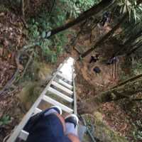 rainforest hiking in Borneo 