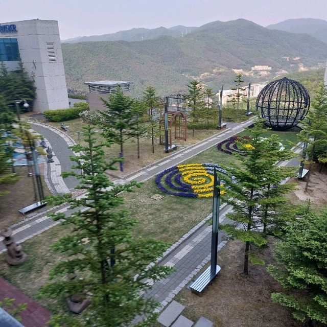 하이원리조트 내 튤립 꽃구경하기 