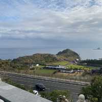 Jeju island 🇰🇷🏝⛰💗🫶🏻🛫✈️