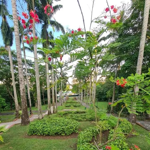 Hike up a hill to a neighbourhood park