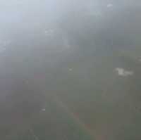 Rice Farm from Above