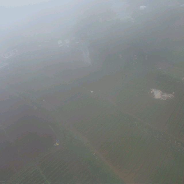 Rice Farm from Above
