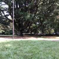 【きぬた公園】