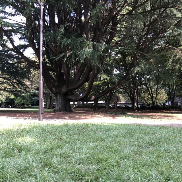 【きぬた公園】 【きぬた公園】