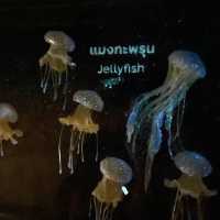 กำเงิน20฿ เดินเล่นที่มิวเซียม หาดใหญ่