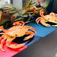 Dancing Crab🦀🦀🦀…in Town