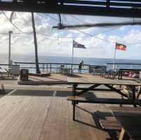 Townsville 隔壁的小島、你一定要去看看野生的無尾熊，就在你面前