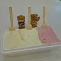 우리 동네에 이런 곳이? 5탄, 스미다🍦