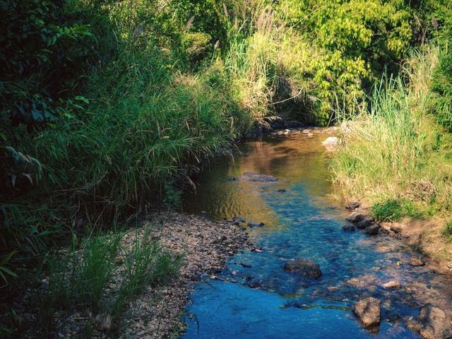 น้ำตกจ๊อกกระดิ่น🏞