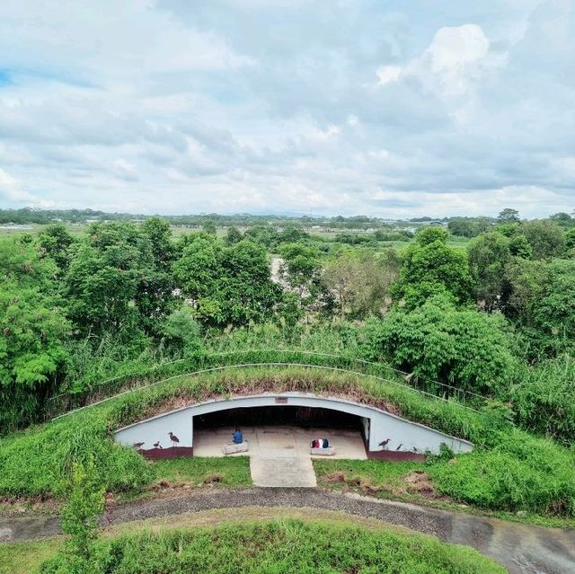 Kranji Marshes exploration