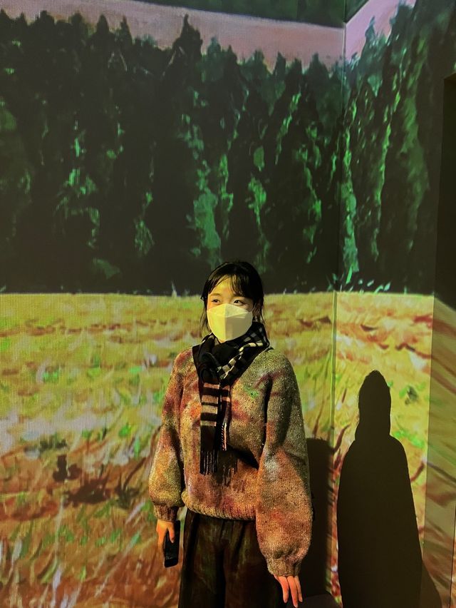 제주도 미디어아트 전시회 추천