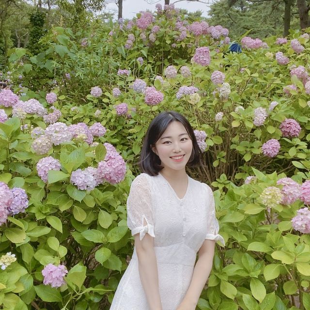 봄에 꼭 가야하는 부산수국명소