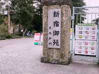 【新宿】都心の緑地　新宿御苑