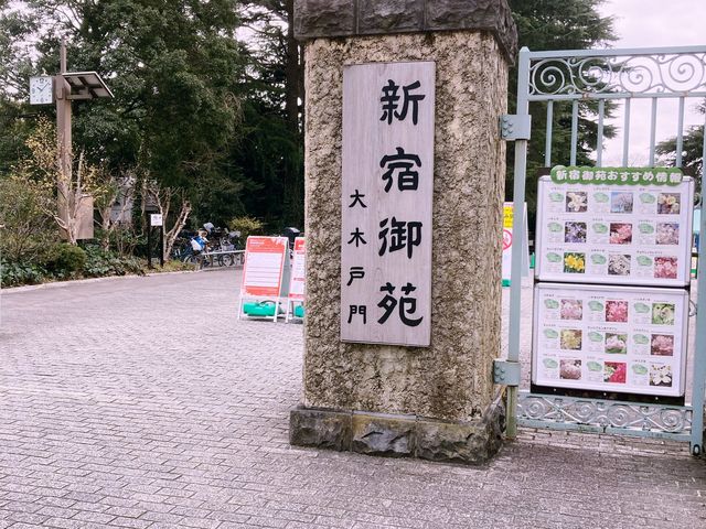 【新宿】都心の緑地　新宿御苑