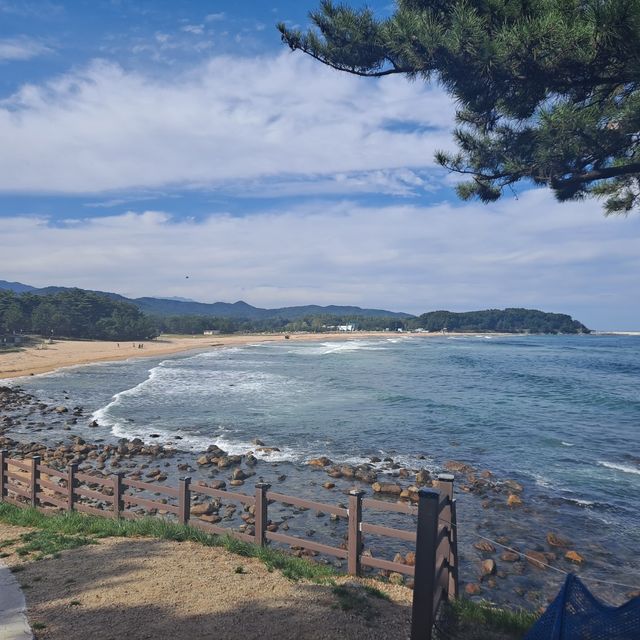 국내 해수욕장 추천 [화진포 해수욕장]