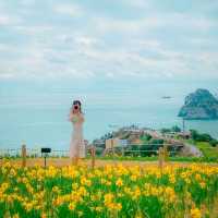 🌼봄의 시작을 알리는 수선화가 예쁜 [부산, 오륙도해맞이공원]