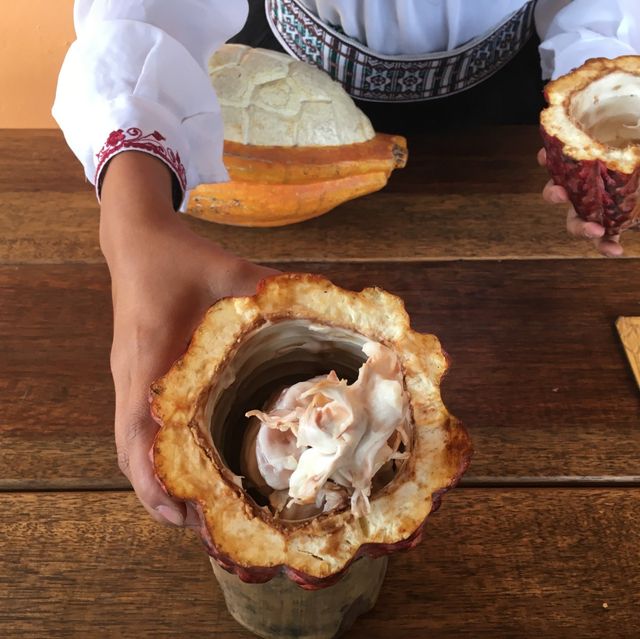 エクアドルの赤道博物館でビックリ体験