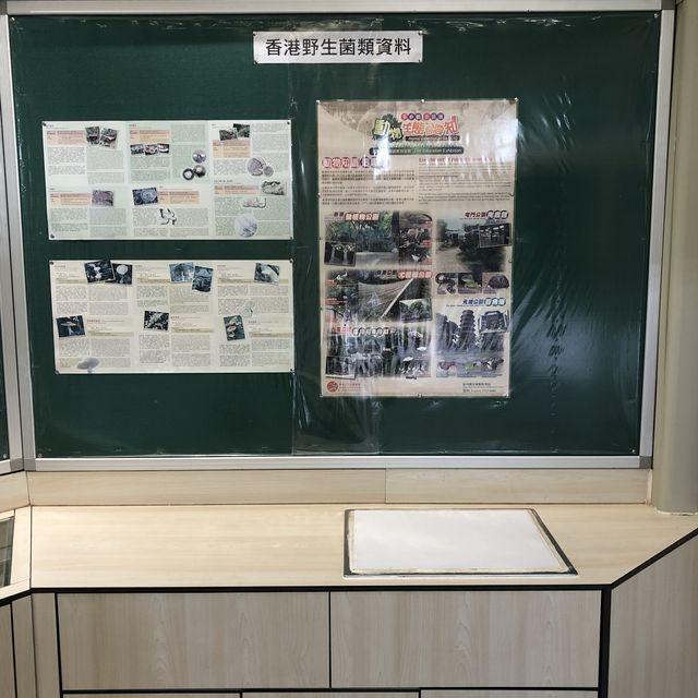 鳥類資料展覽館