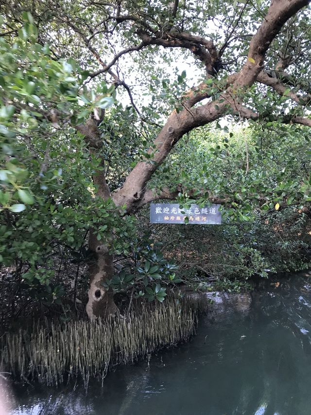 Sicao Green Tunnel 