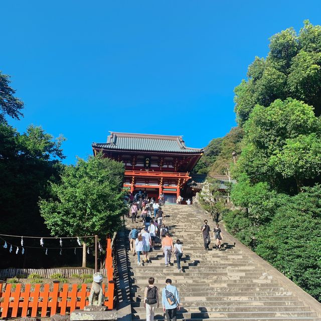 6月は紫陽花が見頃の鶴岡八幡宮