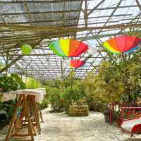 Underrated Rose Garden in Cameron Highland